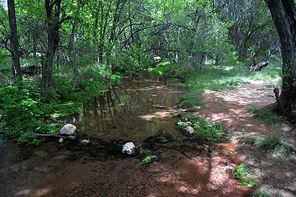 Sycamore Creek, Sycamore Canyon, April 16, 2015